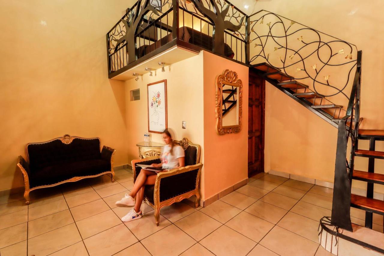 Hotel La Siesta Del Fauno Morelia Extérieur photo